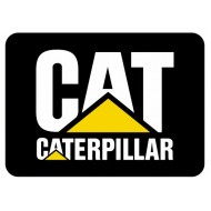 Caterpillar